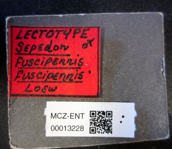 Media type: image;   Entomology 13228 Aspect: labels